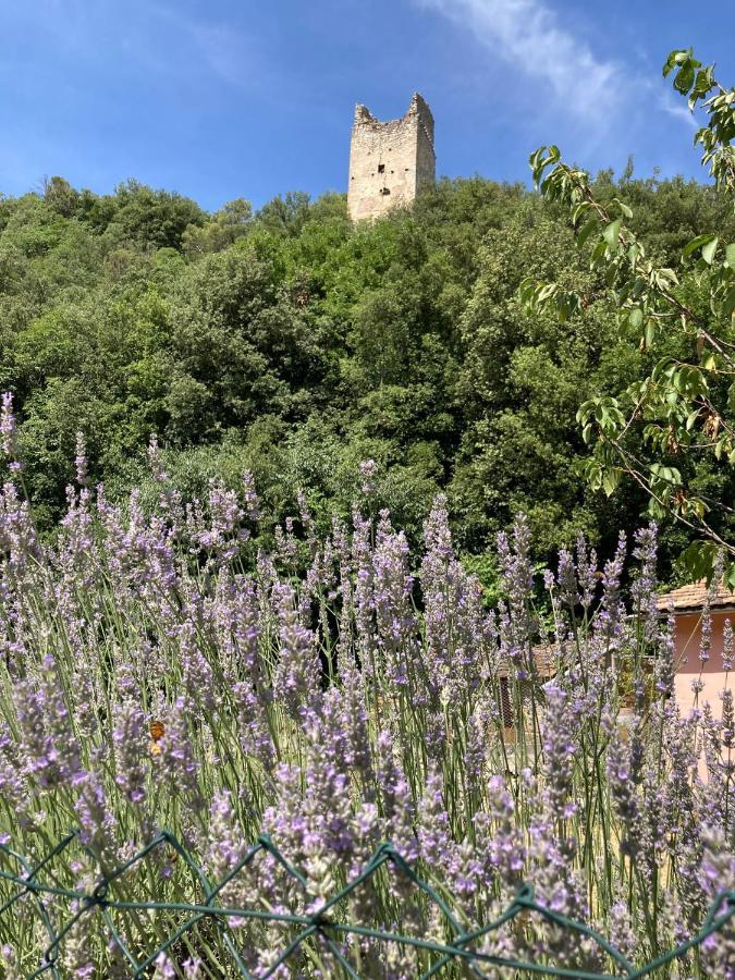 La Casa Dei Nonni 호텔 Torre Orsina 외부 사진